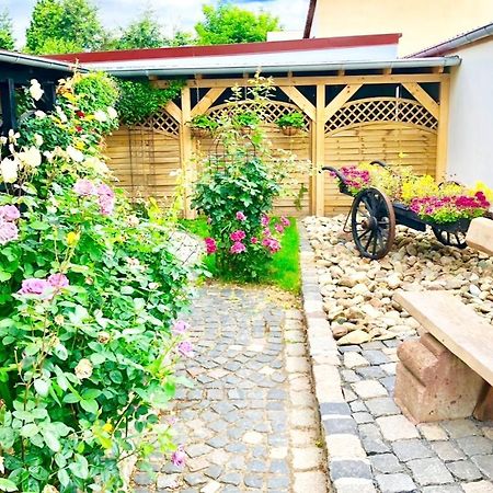 Ferienwohnungen Grimma 4 Esterno foto