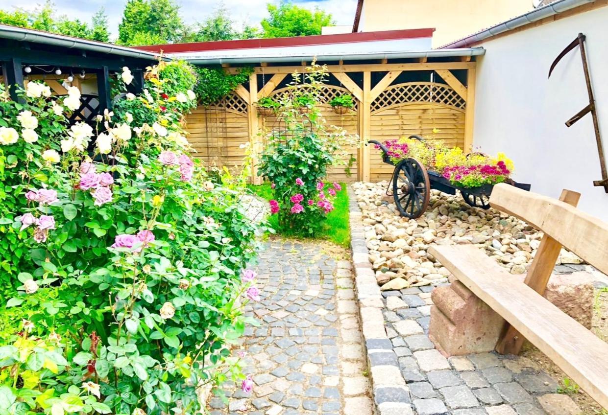 Ferienwohnungen Grimma 4 Esterno foto